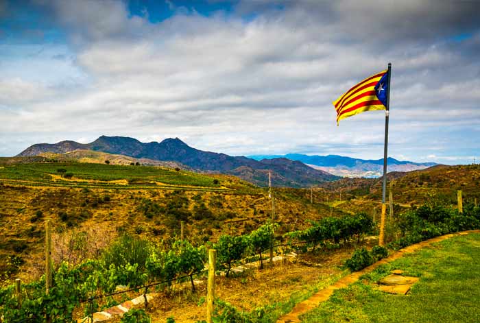 Rutas Queso Embutidos 2025